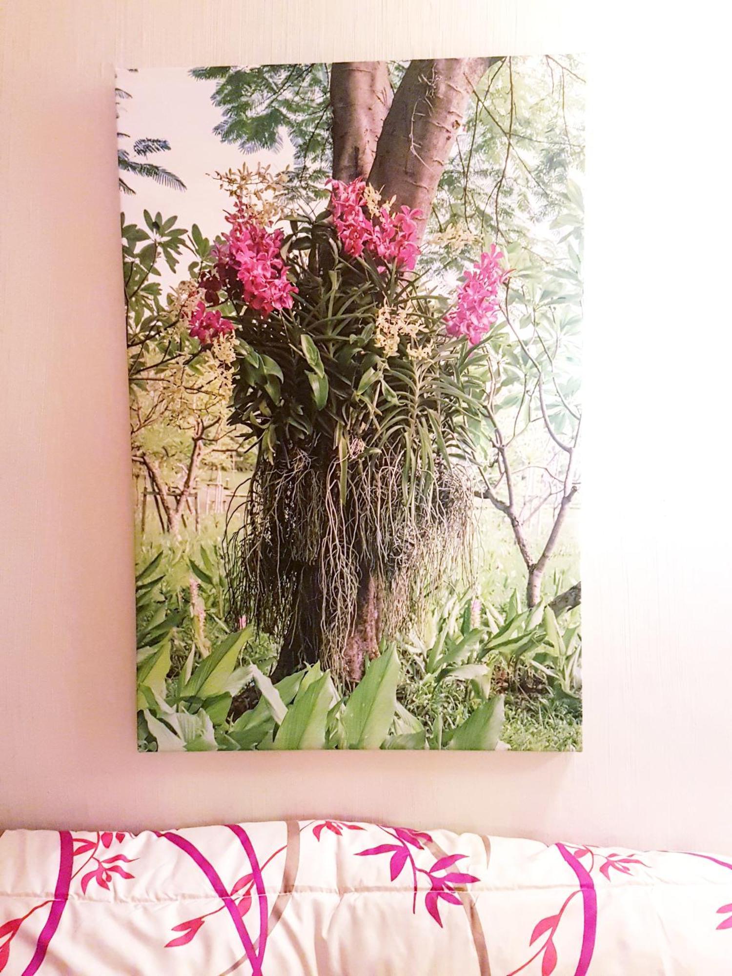 Les Ecrins De La Badine - Hameaux Apartment อิแยร์ ภายนอก รูปภาพ